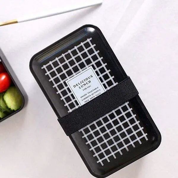 Fashion Japanese Bento Box Double Food Container