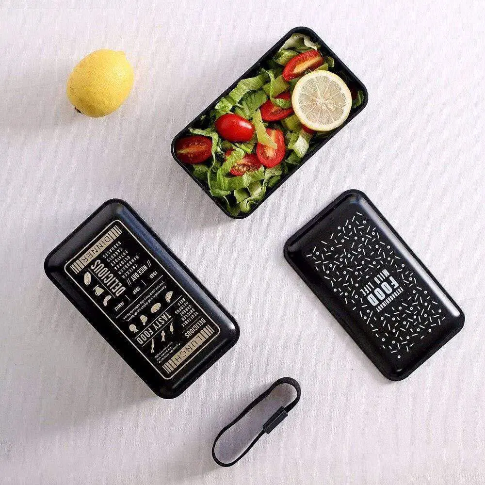 Fashion Japanese Bento Box Double Food Container