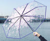 Japanese Umbrella Transparent