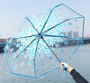 Japanese Umbrella Transparent
