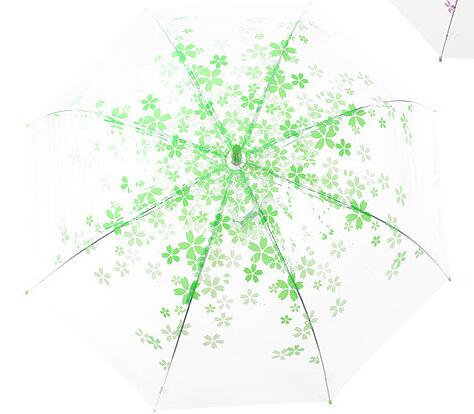 Japanese Umbrella Transparent