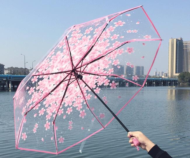 Japanese Umbrella Transparent