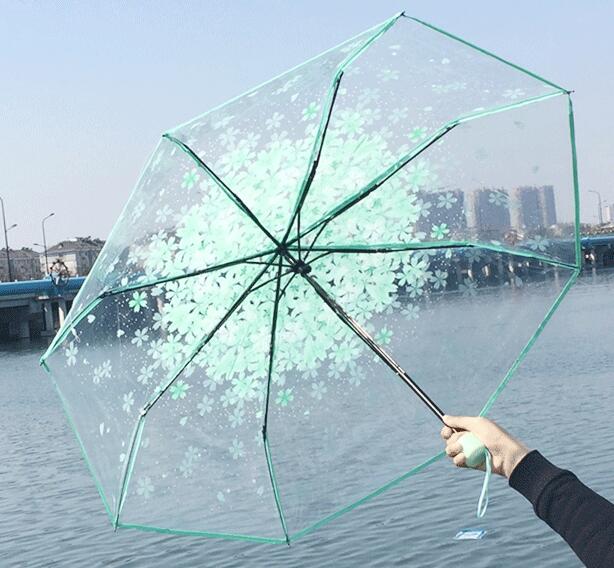 Japanese Umbrella Transparent